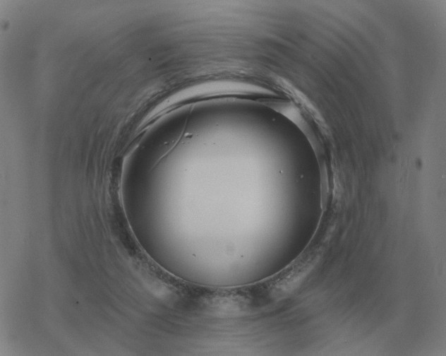 X0000068890209200605122042