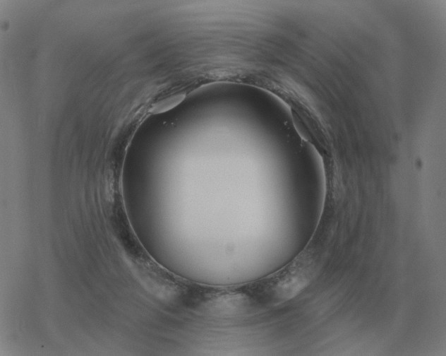 X0000068890210200605122042