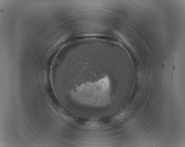 X0000068890211200605122042