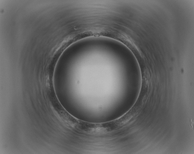 X0000068890212200605122042