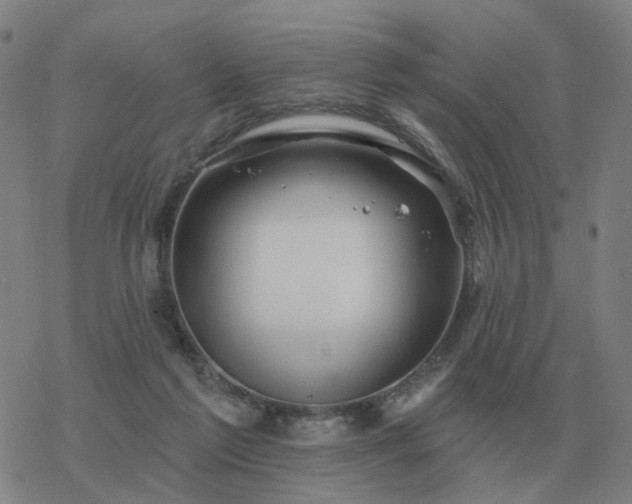 X0000068890213200605122042