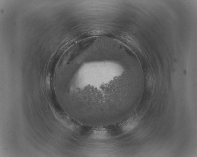 X0000068890214200605122042