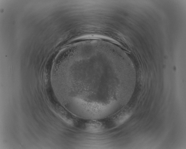 X0000068890215200605122042