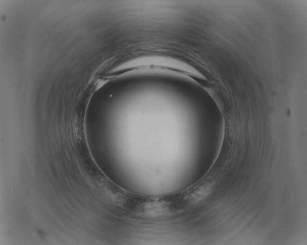 X0000068890216200605122042