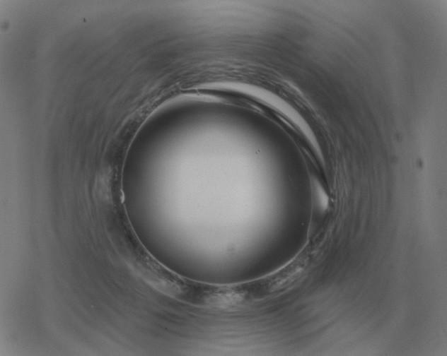 X0000068890217200605122042