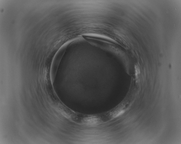 X0000068890219200605122042