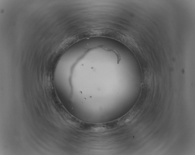 X0000068890220200605122042