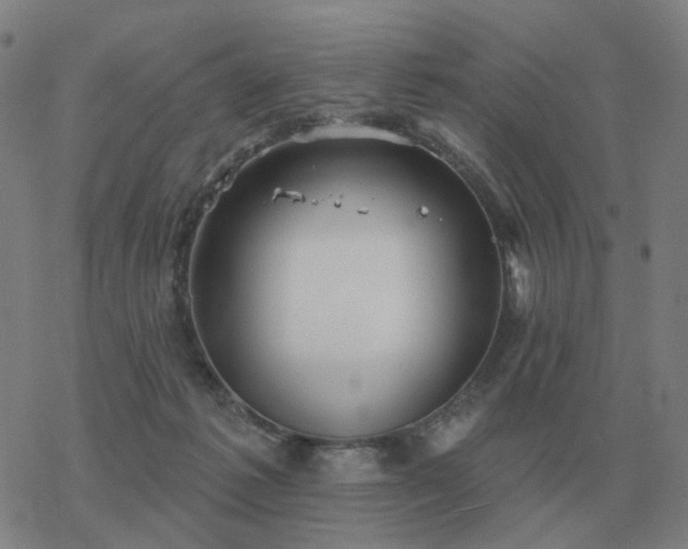 X0000068890221200605122042