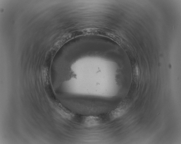 X0000068890222200605122042