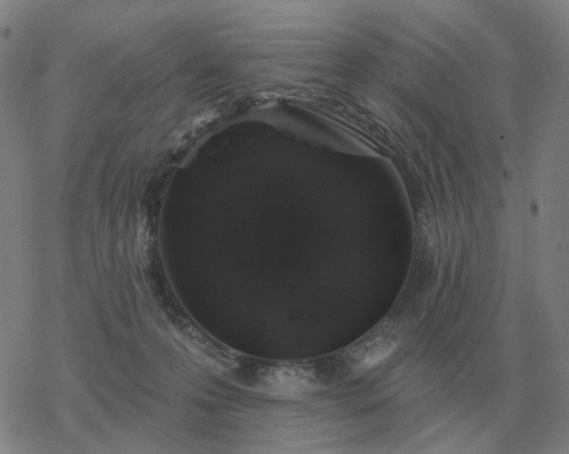 X0000068890223200605122042