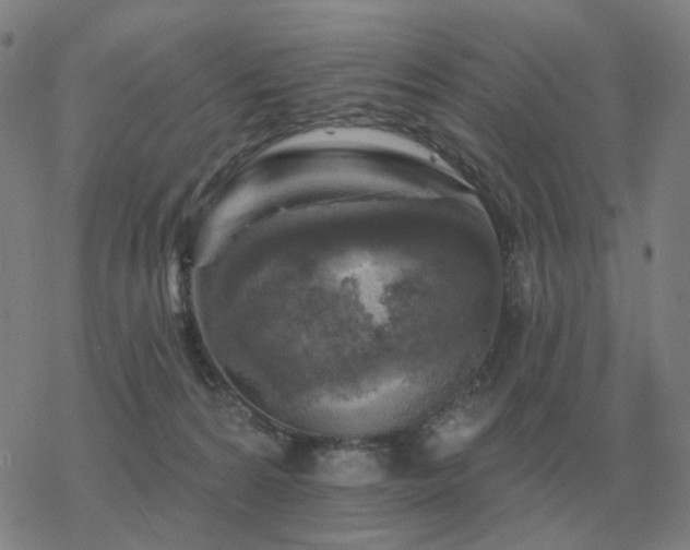 X0000068890224200605122042