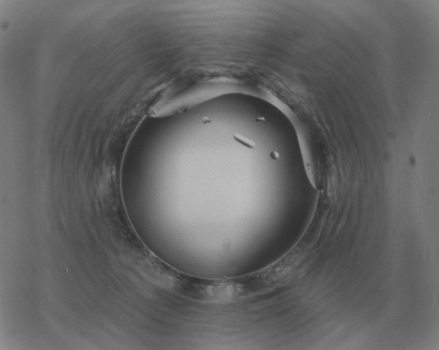 X0000068890225200605122042