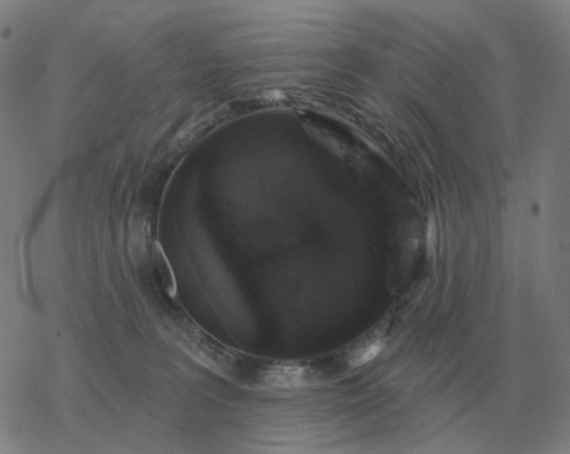 X0000068890227200605122042