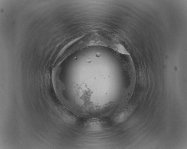 X0000068890228200605122042