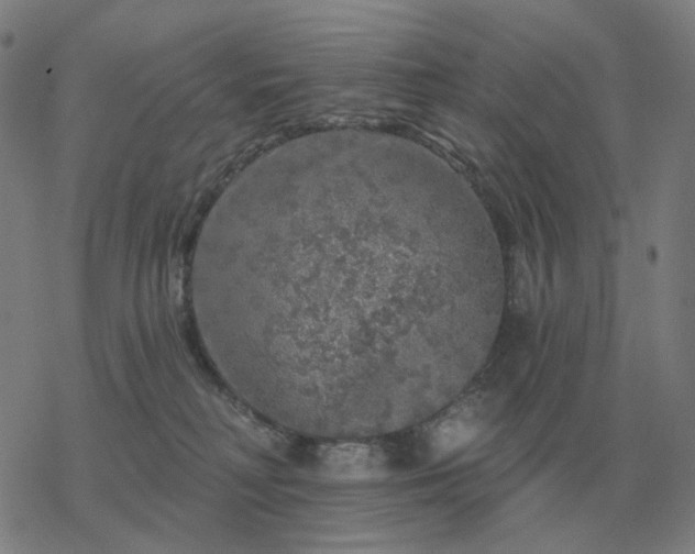 X0000068890230200605122042