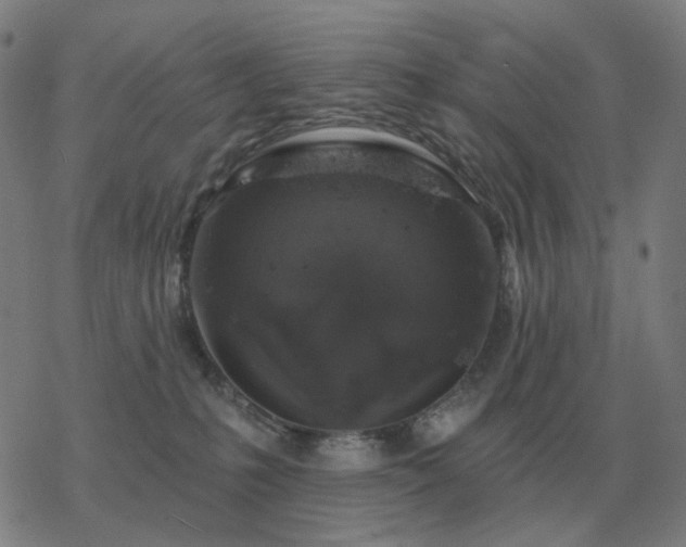 X0000068890231200605122042