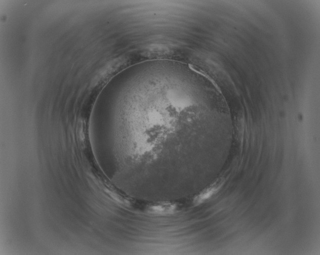 X0000068890232200605122042