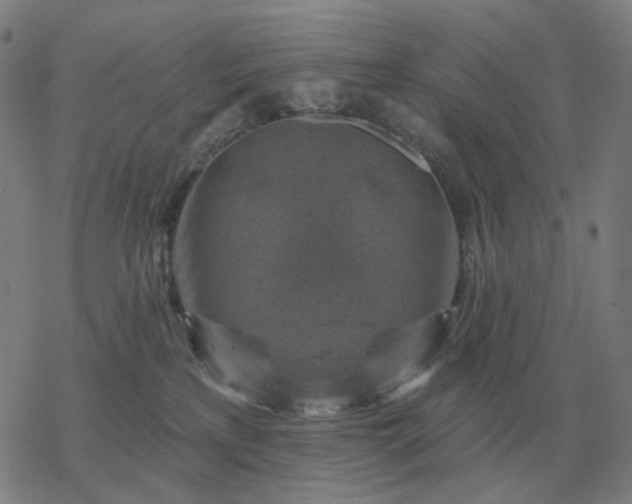 X0000068890233200605122042