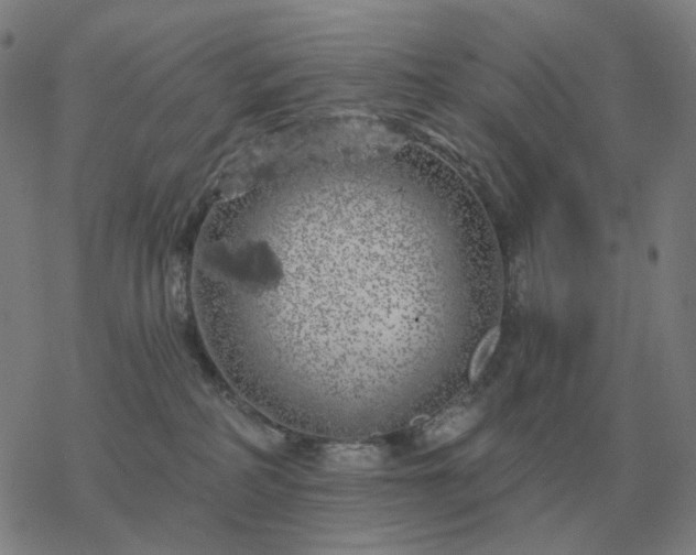 X0000068890234200605122042