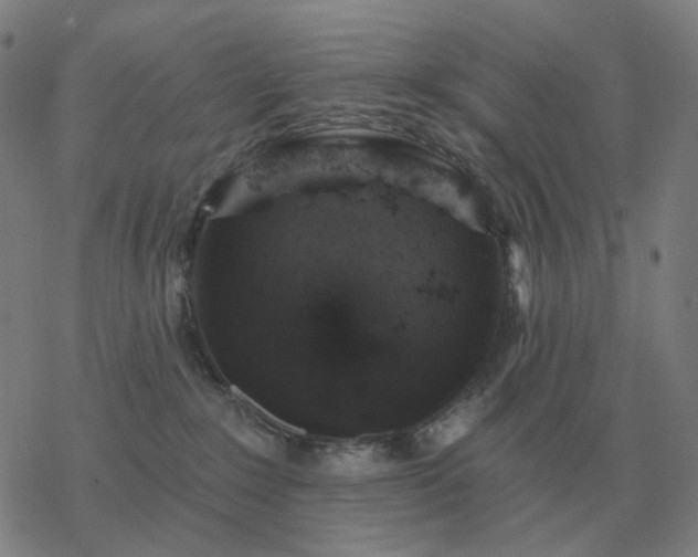 X0000068890235200605122042