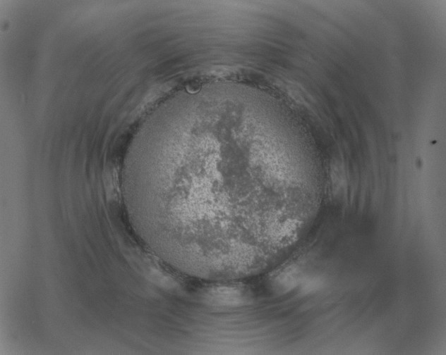 X0000068890236200605122042