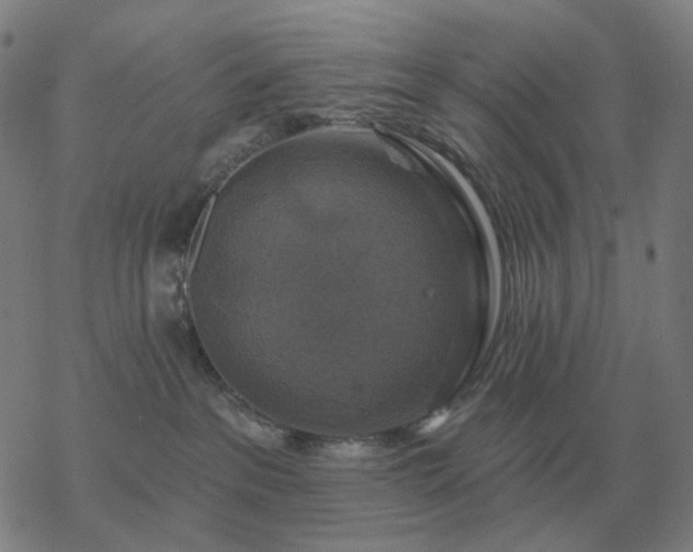 X0000068890237200605122042