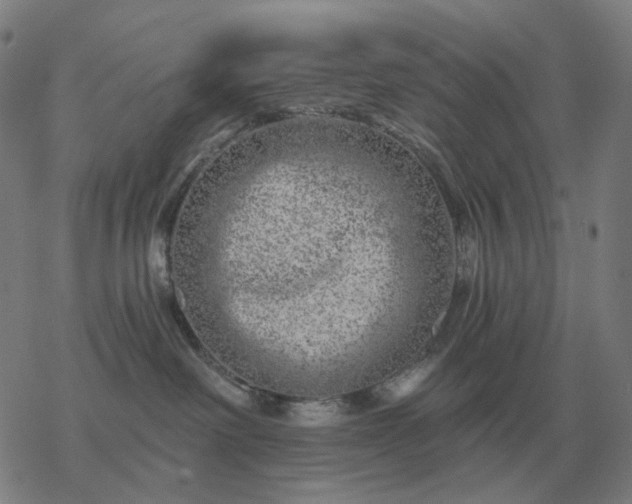 X0000068890238200605122042