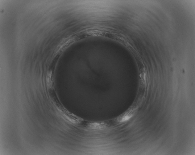 X0000068890239200605122042