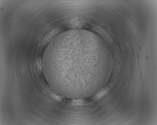 X0000068890240200605122042