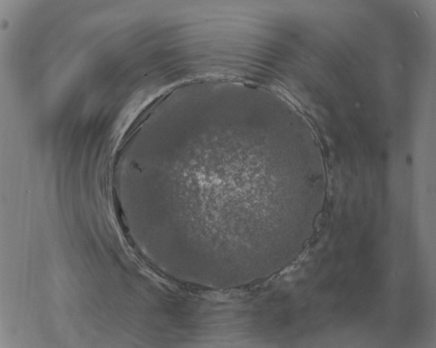 X0000068890241200605122041