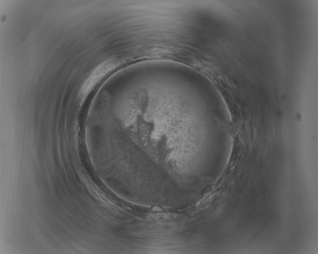 X0000068890242200605122041