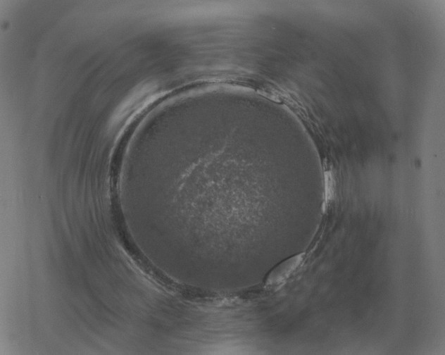 X0000068890243200605122041