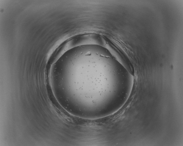 X0000068890244200605122041