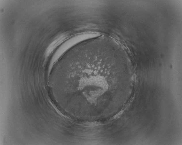 X0000068890245200605122041