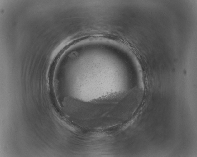 X0000068890246200605122041