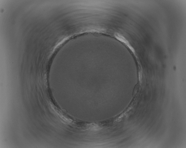 X0000068890249200605122041