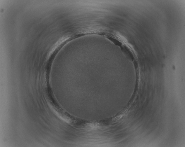 X0000068890250200605122041