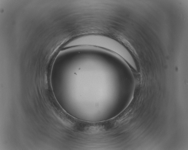 X0000068890251200605122041