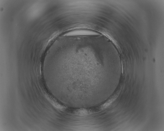 X0000068890253200605122041