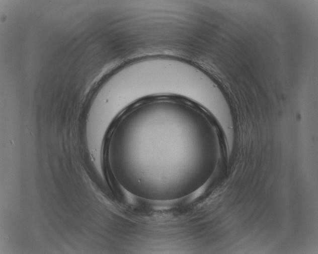 X0000068890256200605122041