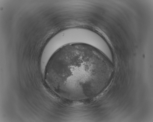 X0000068890257200605122041