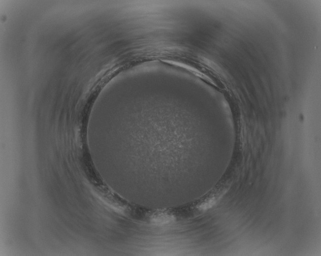 X0000068890258200605122041