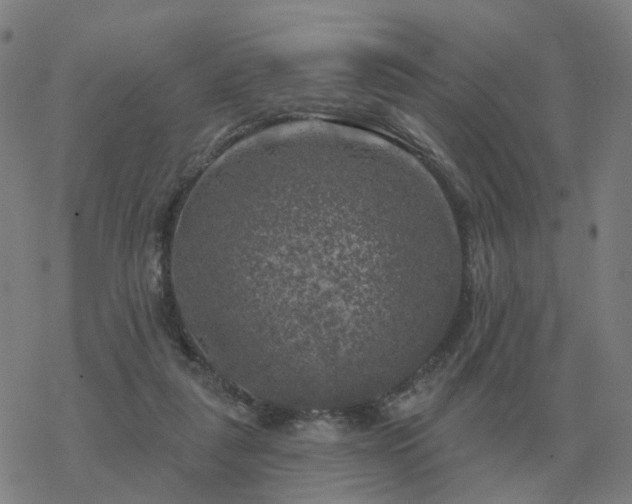 X0000068890259200605122041