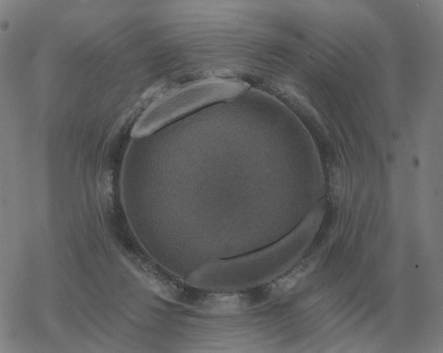 X0000068890260200605122041