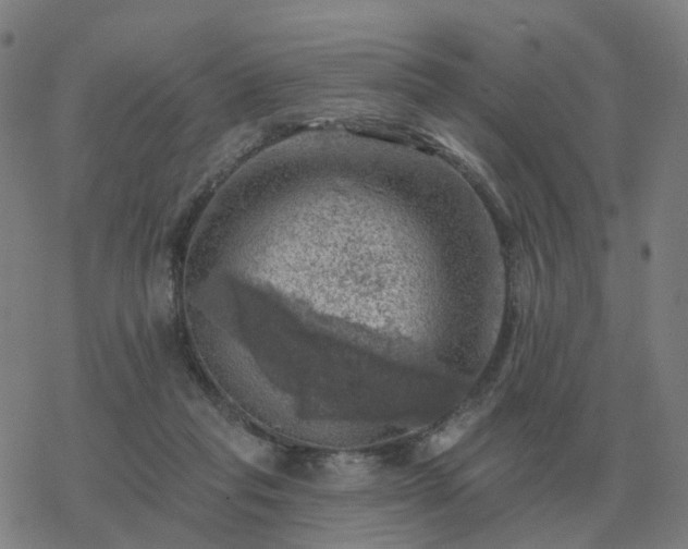 X0000068890261200605122041