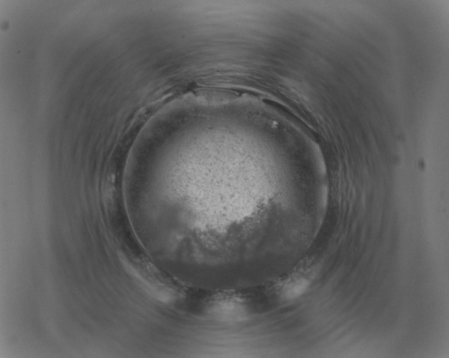 X0000068890263200605122041