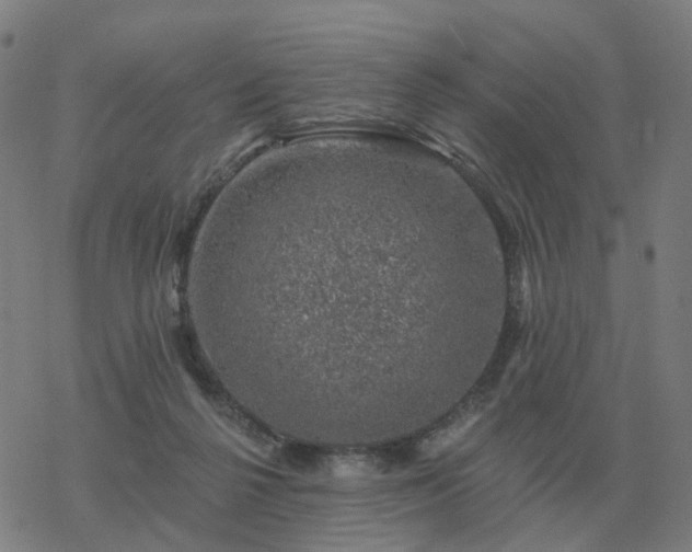 X0000068890264200605122041