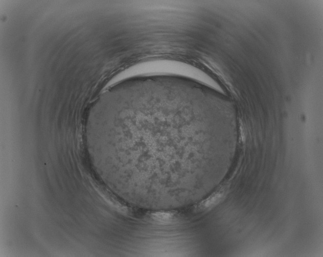 X0000068890265200605122041