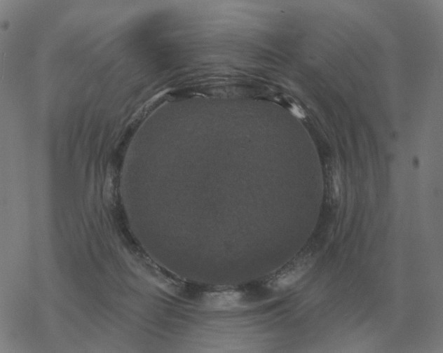 X0000068890266200605122041