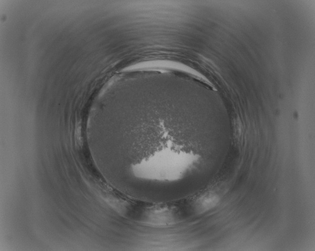 X0000068890267200605122041